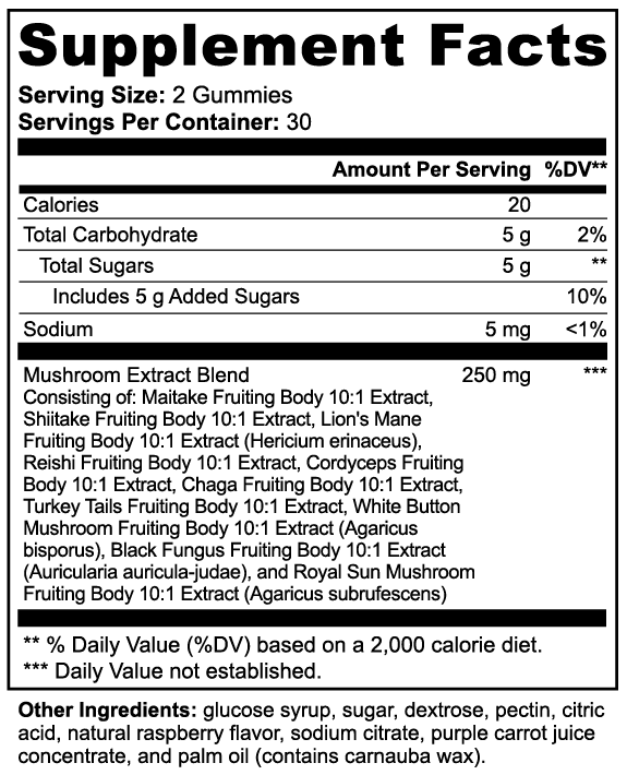 FocusFlo BRAINBOOST